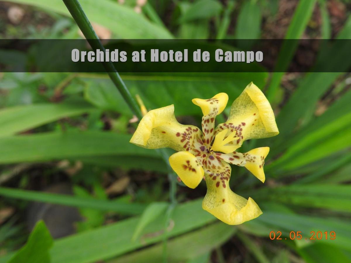 Hotel De Campo Caño Negro Eksteriør billede