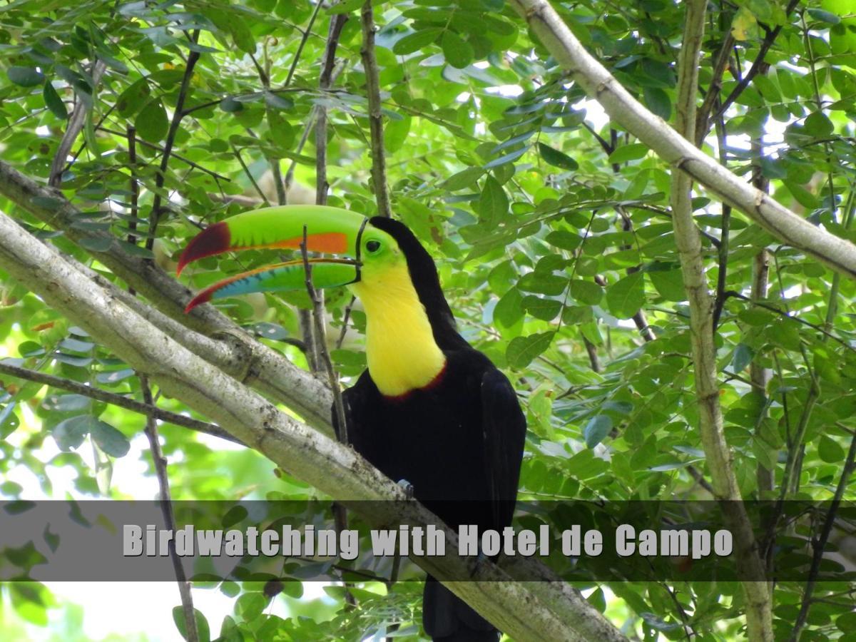 Hotel De Campo Caño Negro Eksteriør billede